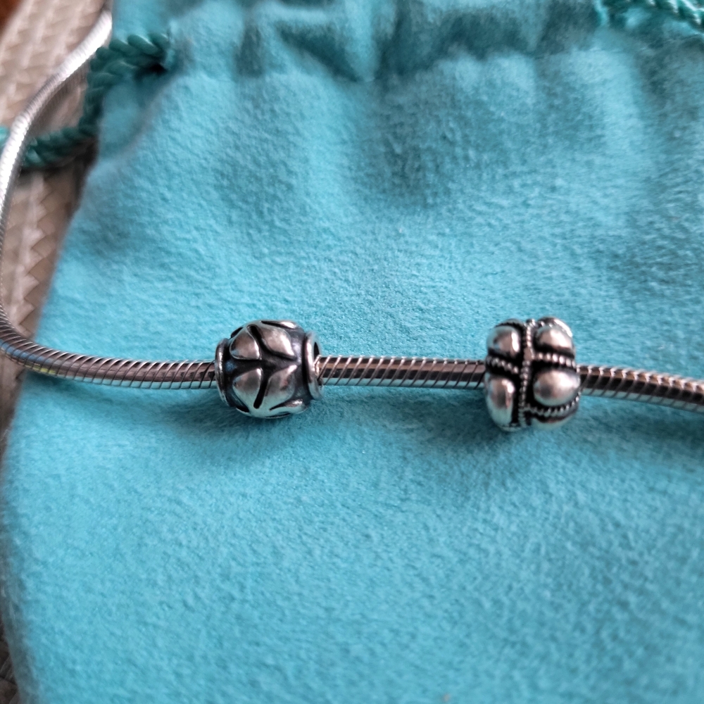 Pandora Silver Charms